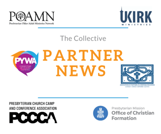 Partner News logo